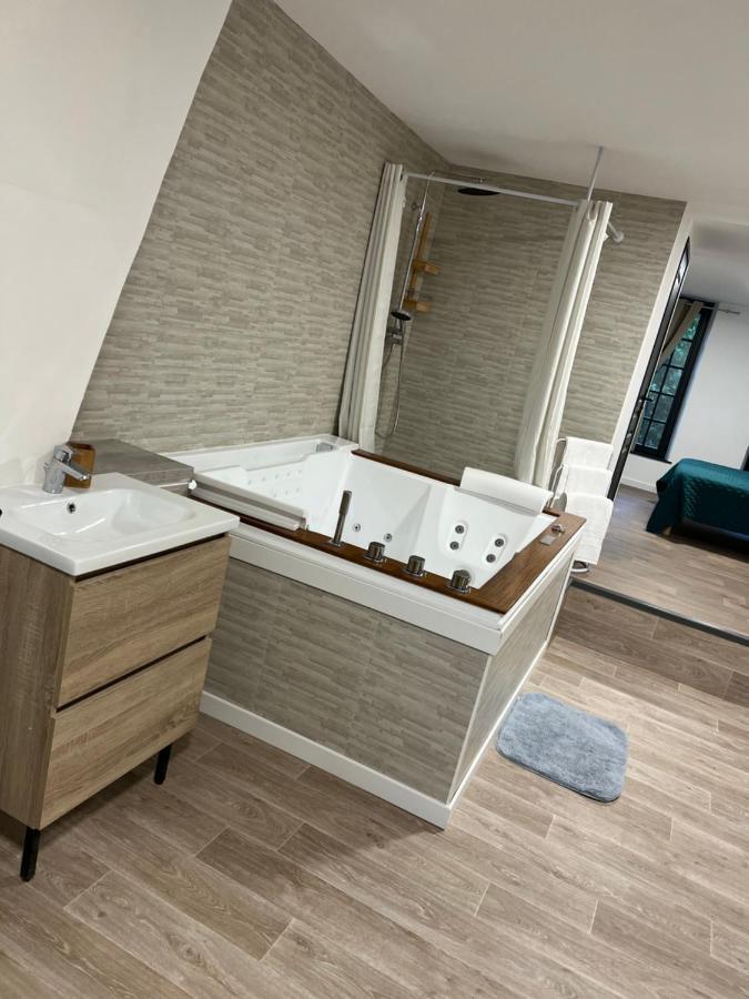מלון אמיינס Magnifique Loft 35M2 Jacuzzi Rvb Night 1 מראה חיצוני תמונה